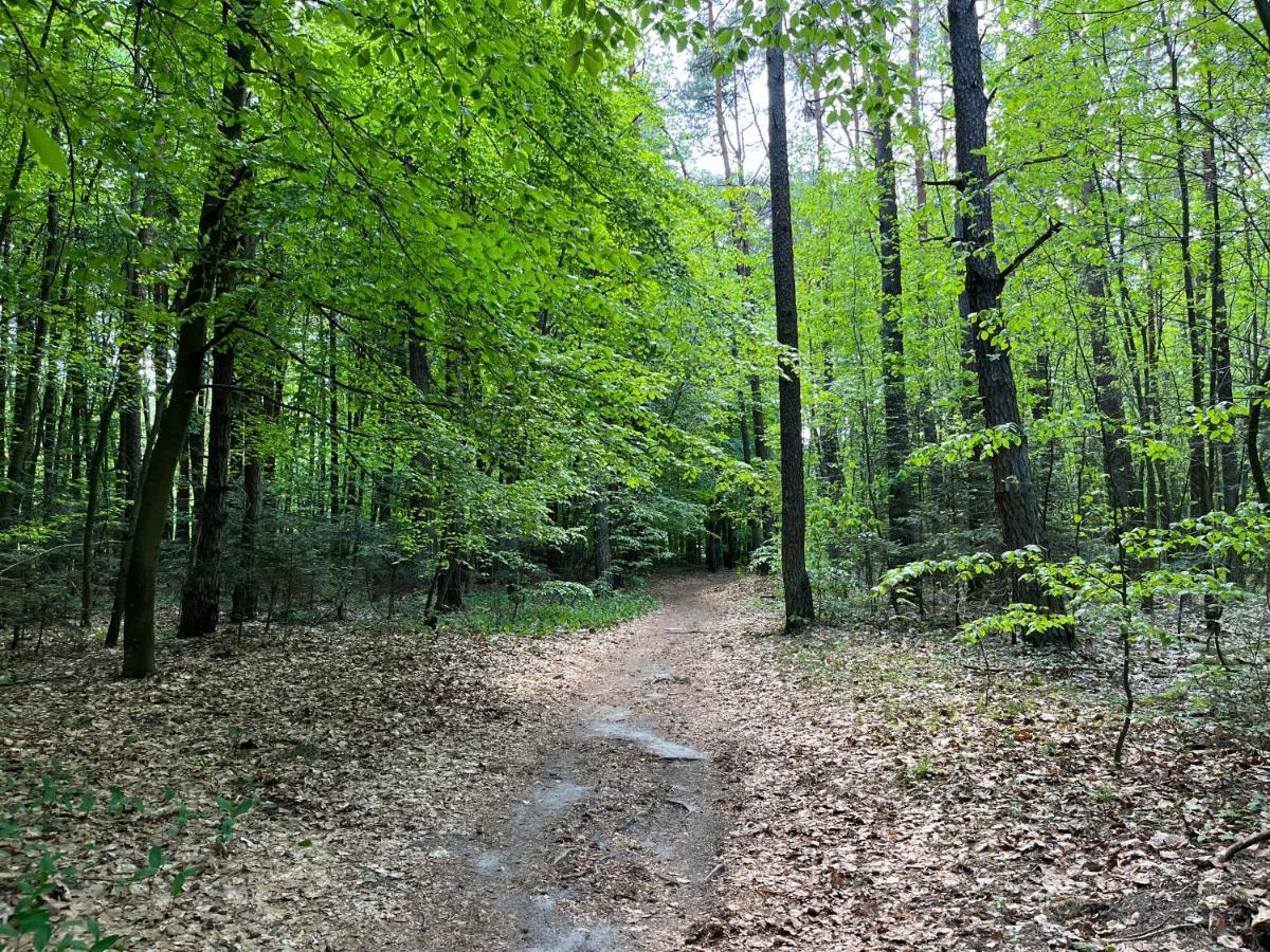 Apartamenty Kielce- Green Forest Apartament, Faktura, Parking, Centrum Экстерьер фото